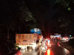 घाटी में अनियंत्रित हुआ ट्रक और पेड़ से जा टकराया, दोनों तरफ वाहनों की लगी लंबी कतार