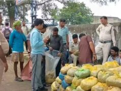 MCB में नशे के कारोबार पर सबसे बड़ा वार! 2 पिकअप से 4.59 करोड़ का गांजा जब्त, 6 तस्कर गिरफ्तार
