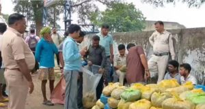 MCB में नशे के कारोबार पर सबसे बड़ा वार! 2 पिकअप से 4.59 करोड़ का गांजा जब्त, 6 तस्कर गिरफ्तार