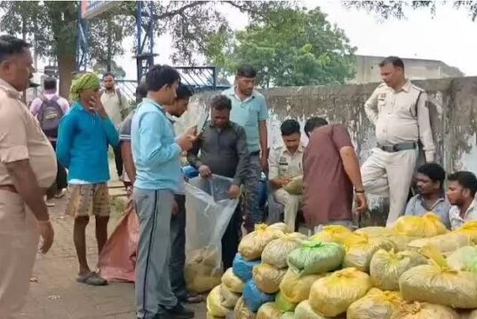 MCB में नशे के कारोबार पर सबसे बड़ा वार! 2 पिकअप से 4.59 करोड़ का गांजा जब्त, 6 तस्कर गिरफ्तार