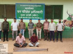 स्मार्ट सर्विलांस में फंसा अंतरराज्यीय सागौन तस्करी गिरोह, नदी के रास्ते ओडिशा भेजने की थी साजिश; 3 गिरफ्तार