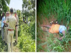 खेत में बिछा था करंट का तार, धान की रखवाली करने पहुंचे किसान की मौत; आरोपी गिरफ्तार