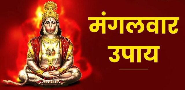 WhatsApp Image 2026-09-01 at 7.42.42 AM (1)