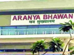 वन विभाग में बड़े पैमाने पर तबादला, देखें किसे मिली कहां की जिम्मेदारी