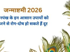 मोरपंख से चमकेगी किस्मत? जन्माष्टमी पर करें ये 4 आसान उपाय, घर में सुख-शांति और समृद्धि के बनेंगे योग