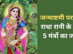 Janmashtami 2026: जन्माष्टमी पर जरूर करें राधा रानी के इन 5 मंत्रों का जाप, प्रेम-विवाह की अड़चनें होंगी दूर!