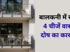 बालकनी में ये चीजें रखी हैं तो आज ही हटा दें! वास्तु के अनुसार धन और करियर पर पड़ सकता है बुरा असर