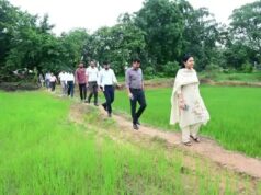 सारंगढ़-बिलाईगढ़ ने दिखाया दम, डिजिटल क्रॉप सर्वे में प्रदेश के सभी जिलों को छोड़ा पीछे