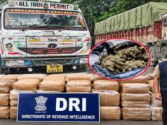 DRI का बड़ा एक्शन: रायपुर में दो ट्रकों से 375.95 किलो गांजा जब्त, देशभर में 13 गिरफ्तार