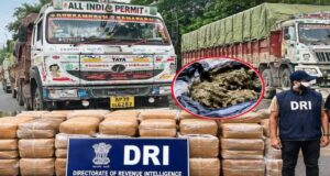 DRI का बड़ा एक्शन: रायपुर में दो ट्रकों से 375.95 किलो गांजा जब्त, देशभर में 13 गिरफ्तार