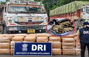 DRI का बड़ा एक्शन: रायपुर में दो ट्रकों से 375.95 किलो गांजा जब्त, देशभर में 13 गिरफ्तार