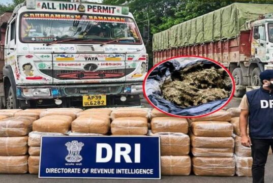 DRI का बड़ा एक्शन: रायपुर में दो ट्रकों से 375.95 किलो गांजा जब्त, देशभर में 13 गिरफ्तार