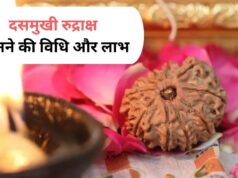 दसमुखी रुद्राक्ष है बेहद खास, भगवान विष्णु से है संबंध! जानें किस विधि से धारण करने पर मिल सकता है लाभ
