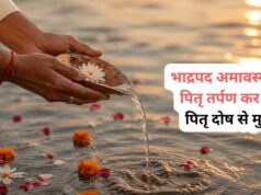 11 सितंबर को भाद्रपद अमावस्या, पितरों का आशीर्वाद पाने के लिए जरूर करें ये 7 काम