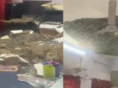 तहसीलदार की कुर्सी पर गिरा छत का प्लास्टर, कंप्यूटर समेत सामान क्षतिग्रस्त; रात में होने से बची जान