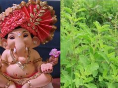 गणेश जी की पूजा में तुलसी चढ़ाना क्यों माना जाता है वर्जित? यहां पढ़िए इसके पीछे का कारण और पौराणिक कथा