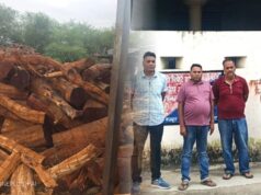 महासमुंद में खैर लकड़ी तस्करी का बड़ा भंडाफोड़, 120 करोड़ से ज्यादा की कथित तस्करी का खुलासा