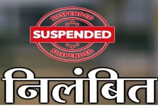 डिजिटल फसल सर्वे से लेकर नामांतरण तक में लापरवाही के आरोप, महासमुंद में 5 पटवारी सस्पेंड