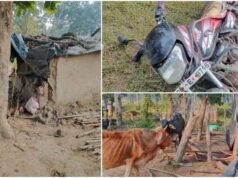 लोरमी के वनांचल में हाथियों का कहर, घर छोड़कर भागे ग्रामीण; मवेशियों की गई जान