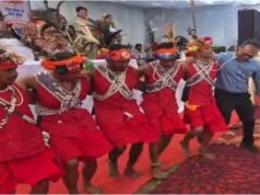 जब ग्रामीणों के बीच पहुंचते ही बदला कलेक्टर का अंदाज, मांदरी नृत्य में युवाओं संग मिलाया कदम