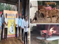 कत्लखाने में मिला 9 क्विंटल गौमांस: 27 गायों का किया गया रेस्क्यू, गौ सेवकों ने उठाई पूरे नेटवर्क की जांच की मांग