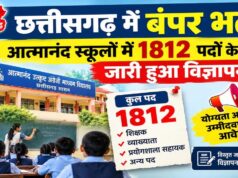 CG में सरकारी स्कूलों में निकली 1812 पदों की भर्ती, 21 अक्टूबर तक कर सकेंगे आवेदन