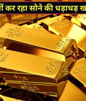 WhatsApp Image 2026-10-14 at 1.54.38 PM