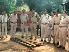 तखतपुर में पुलिस-वन विभाग की संयुक्त दबिश, सागौन के 31 नग बरामद; वन अधिनियम के तहत मामला दर्ज
