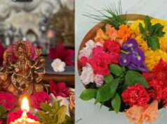 भगवान विष्णु और मां दुर्गा की पूजा में भूलकर भी न चढ़ाएं ये फूल! जानें क्या है धार्मिक मान्यता