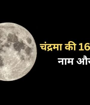 WhatsApp Image 2026-10-24 at 8.09.25 AM