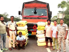महासमुंद में नशे के कारोबार पर कार्रवाई, 560 किलो गांजा और ट्रक जब्त